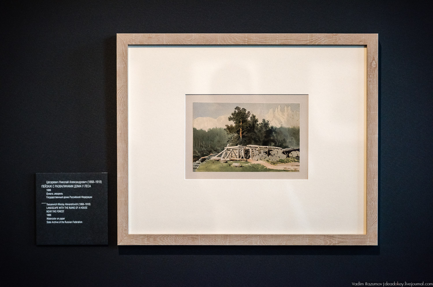 ГИМ. Выставка Николай 2 Семья и престол