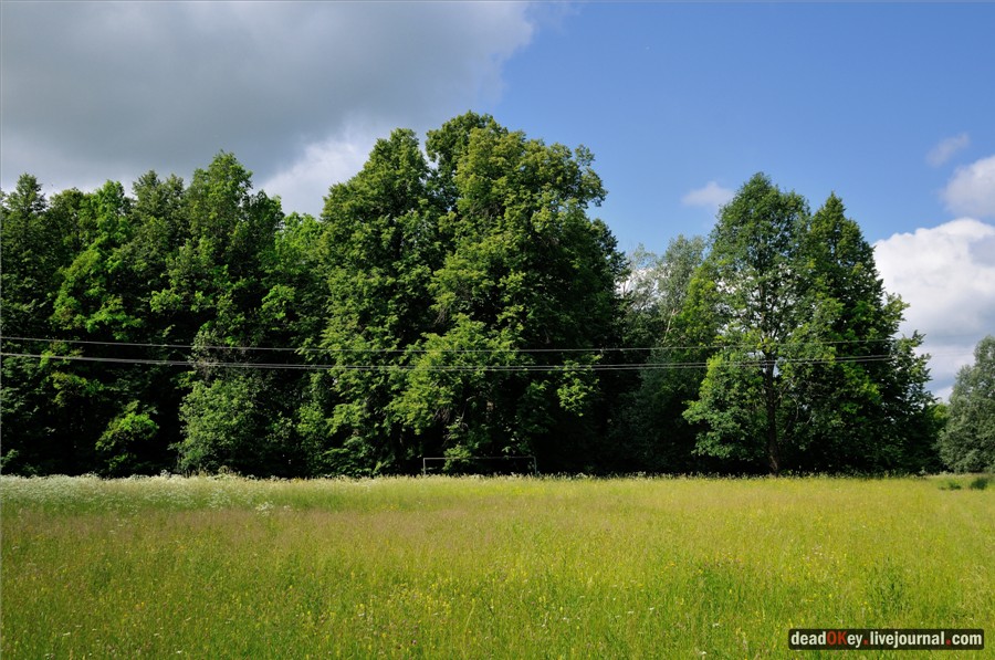 усадьба Ильинское