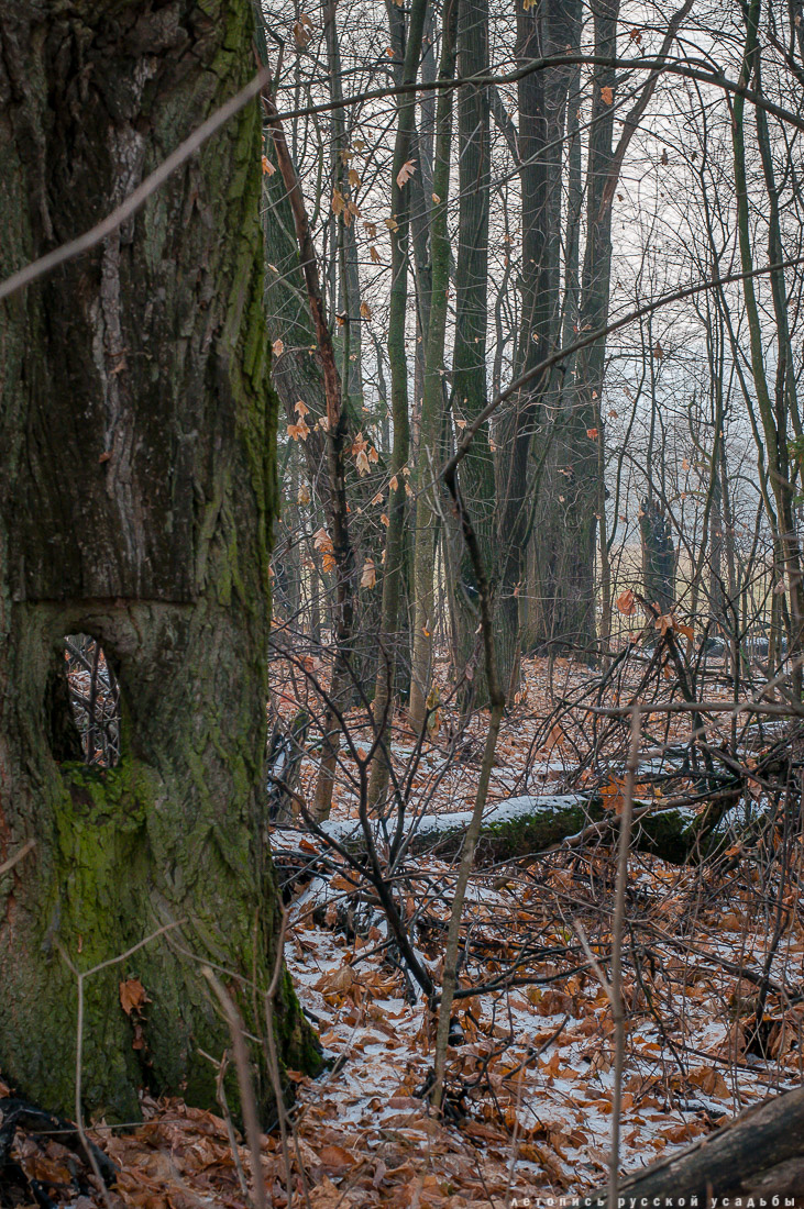 усадьба Синево, Истринский район