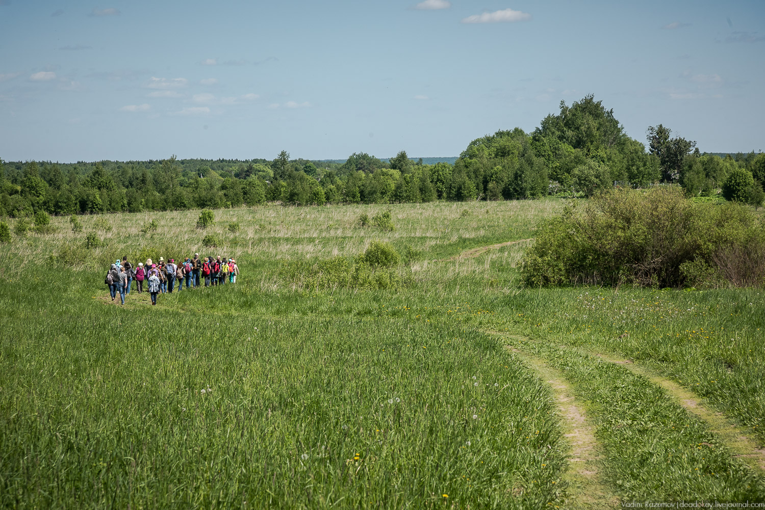Экоэлектричка. Совиный фестиваль