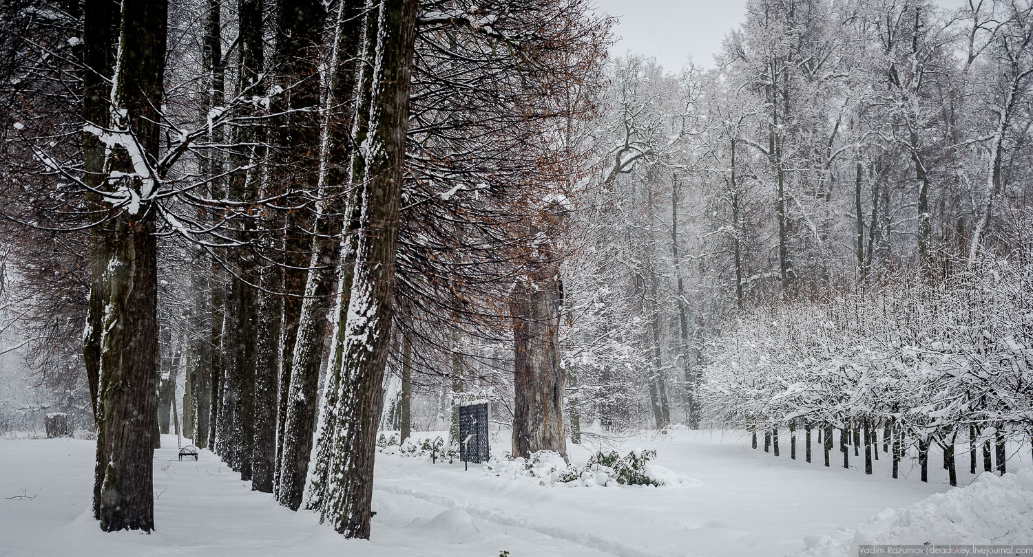 усадьба Горки Ленинские, 2018 год, Летопись русской усадьбы, Вадим Разумов