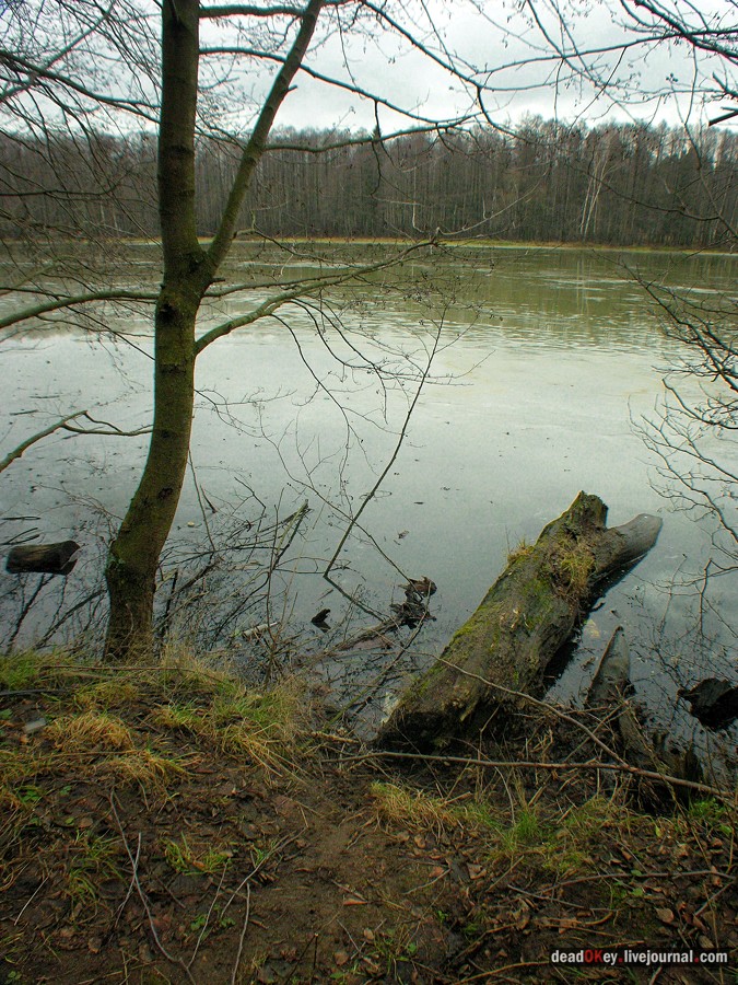 усадьба Глухово