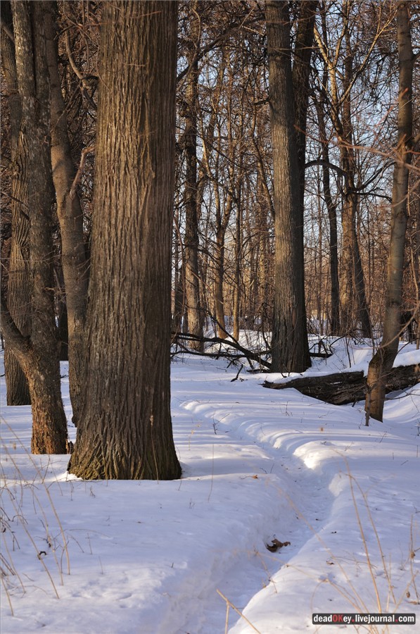 усадьба Федино