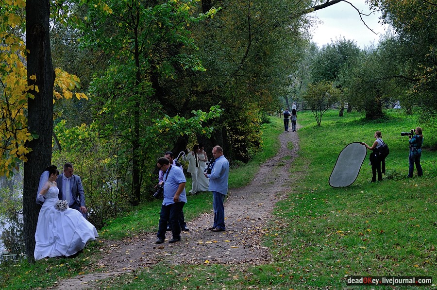 усадьба Ясная Поляна