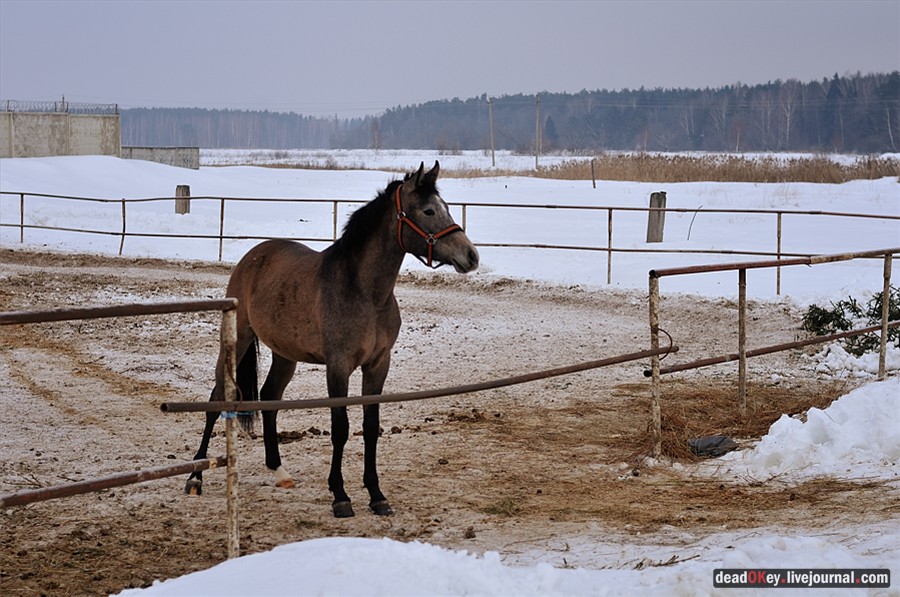 усадьба Успенское