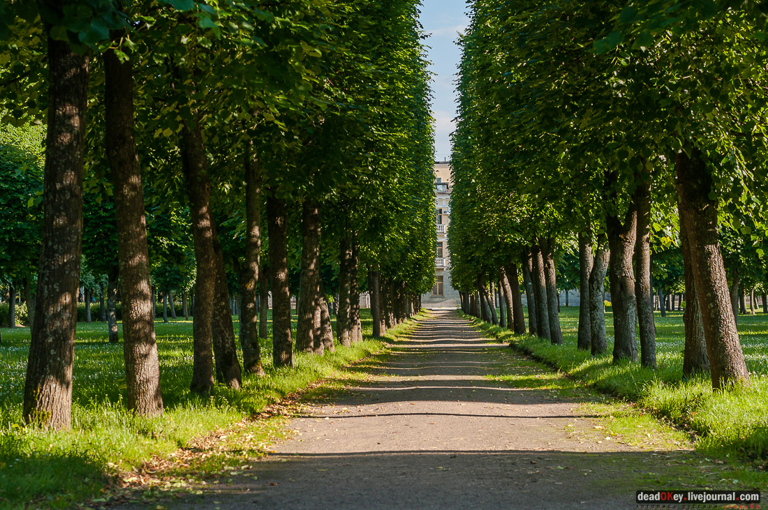 усадьба Архангельское