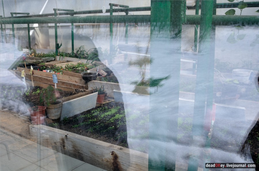 усадьба Узкое