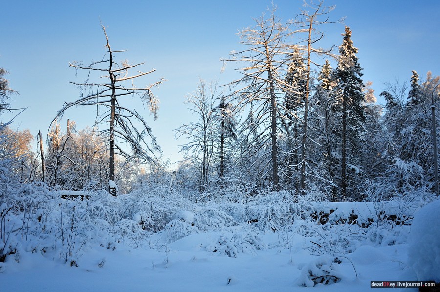 усадьба Полушкино