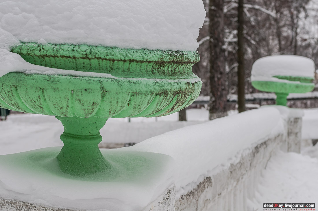 усадьба Васильевское-Скурыгино