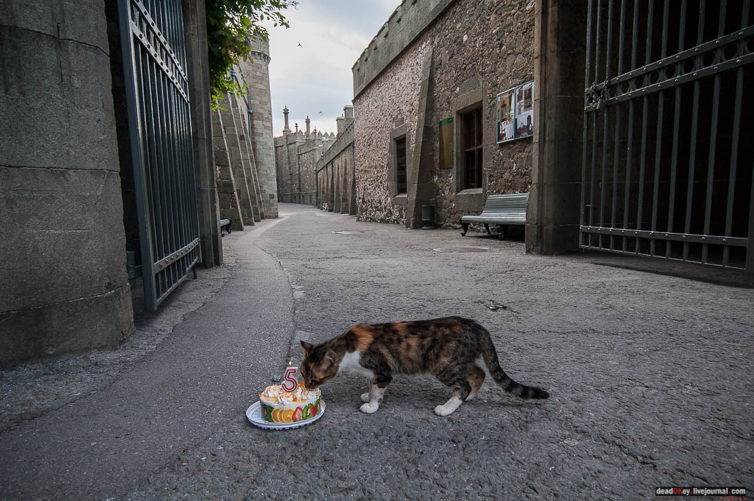 5 лет жж deadokey.livejournal.com