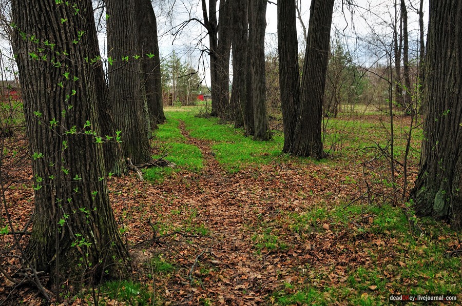 усадьба Антипино