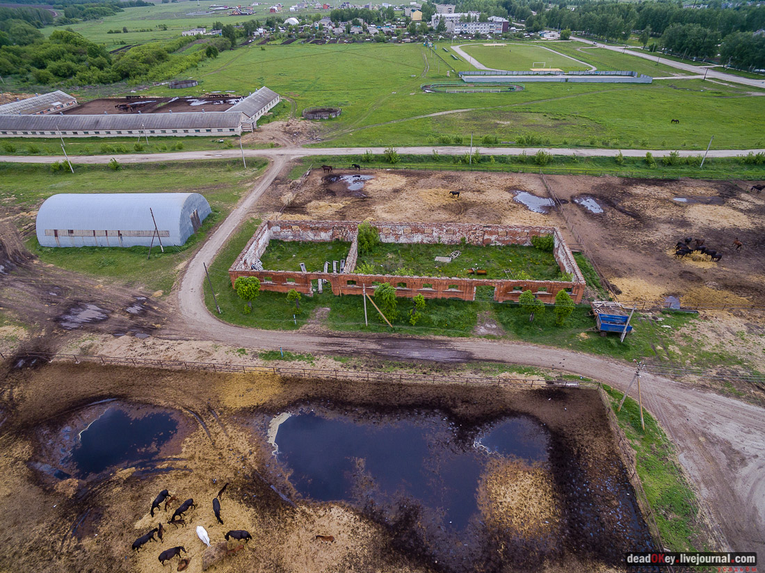 усадьба Старожилово с квадрокоптера