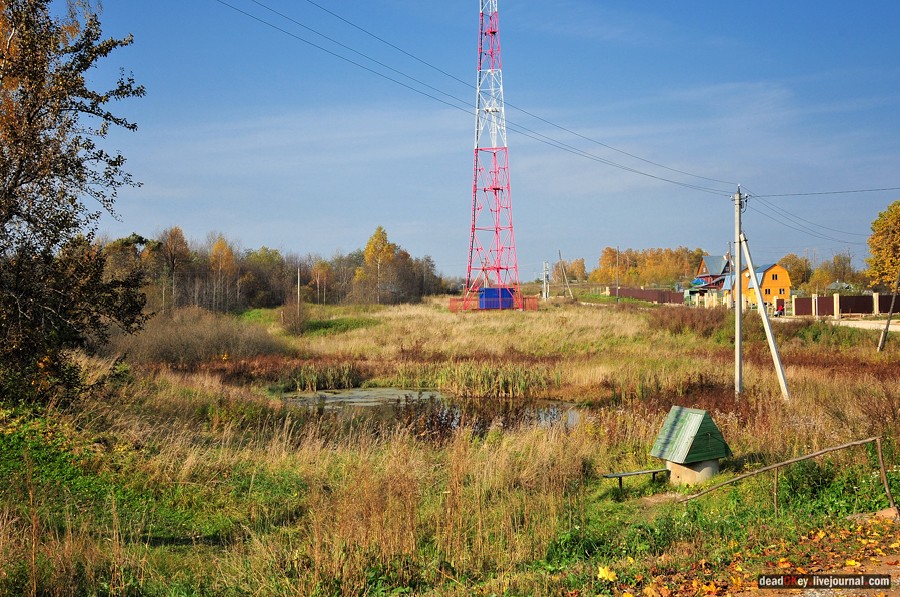 усадьба Гагино