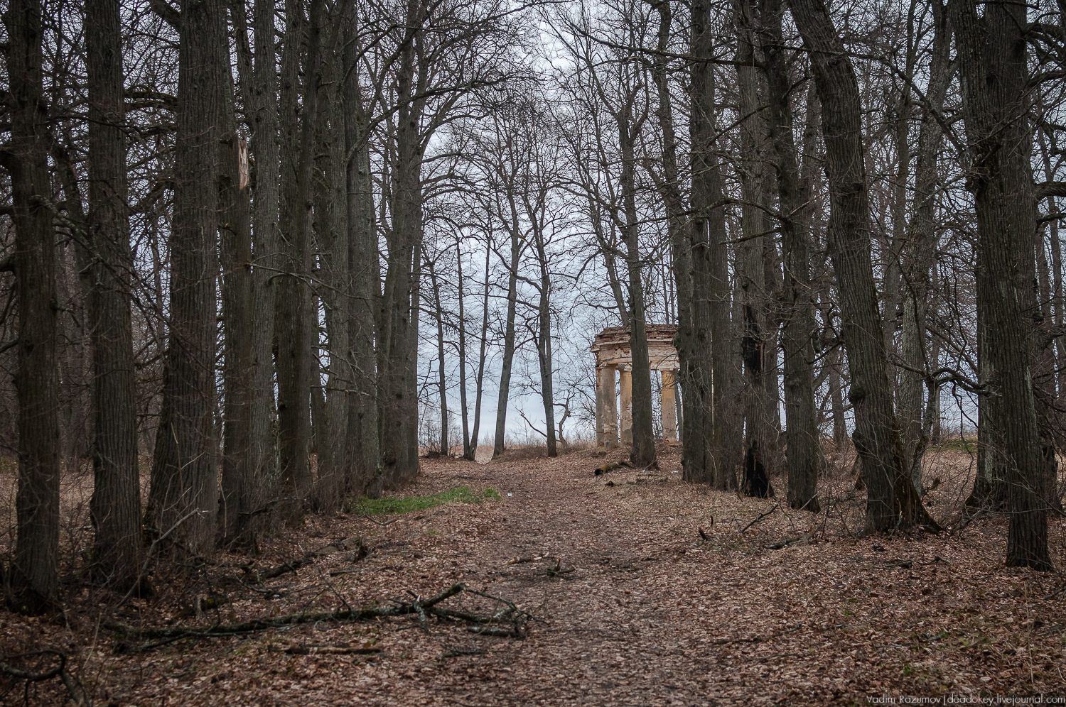 Усадьбы Орловской области