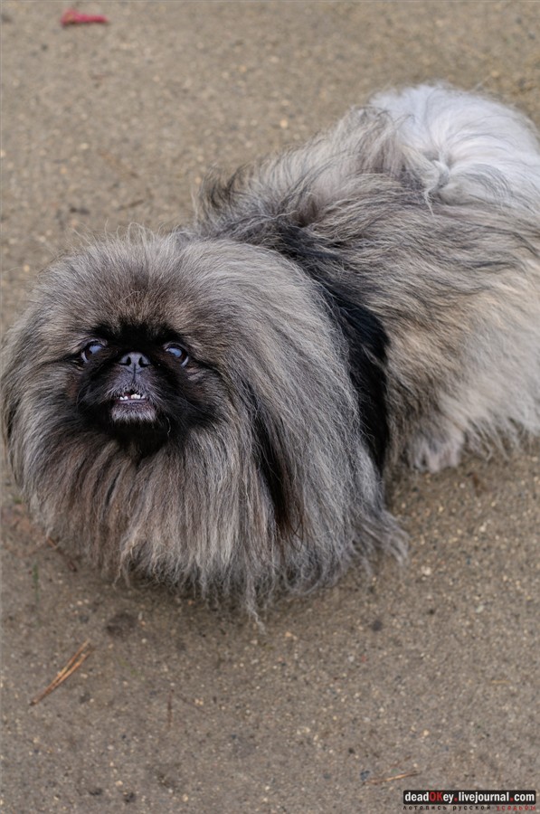 усадьба Федоровское