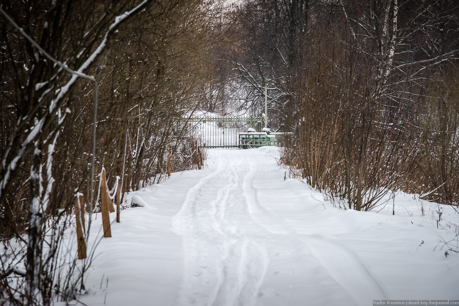 усадьба Знаменское-Садки