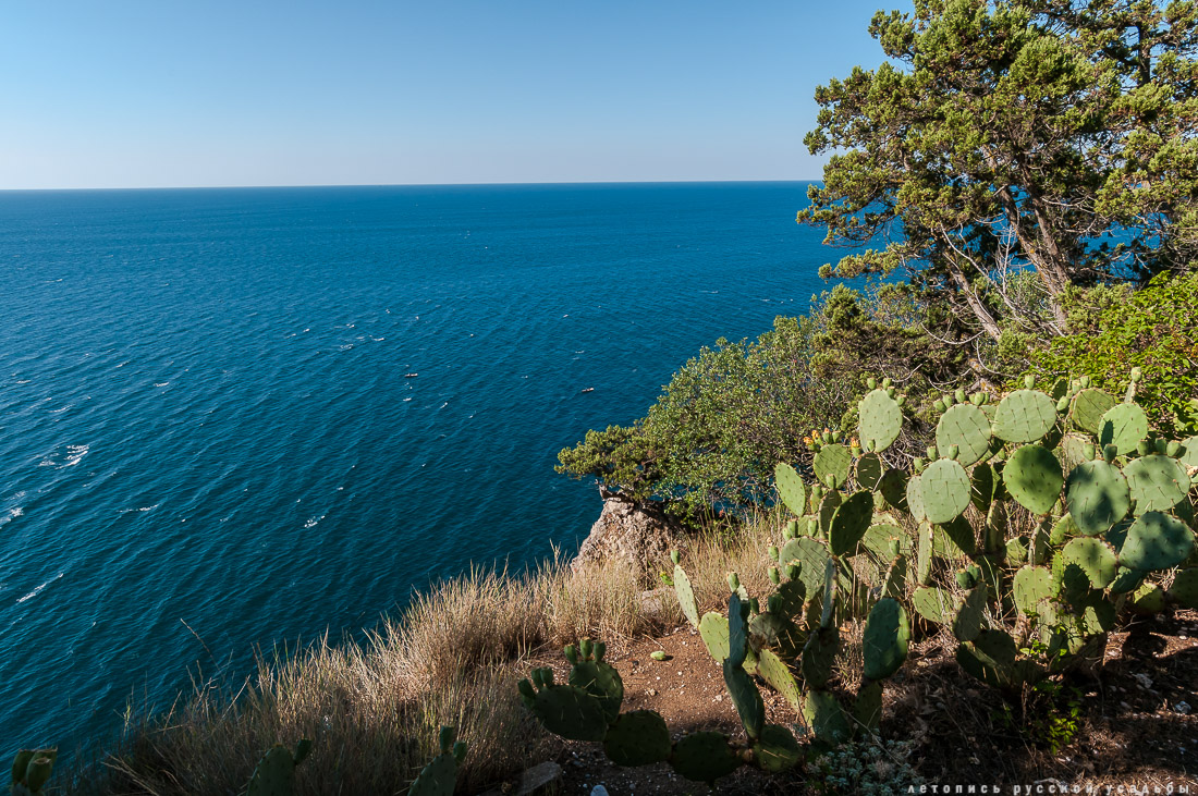 Харакс, Крым, санаторий Днепр