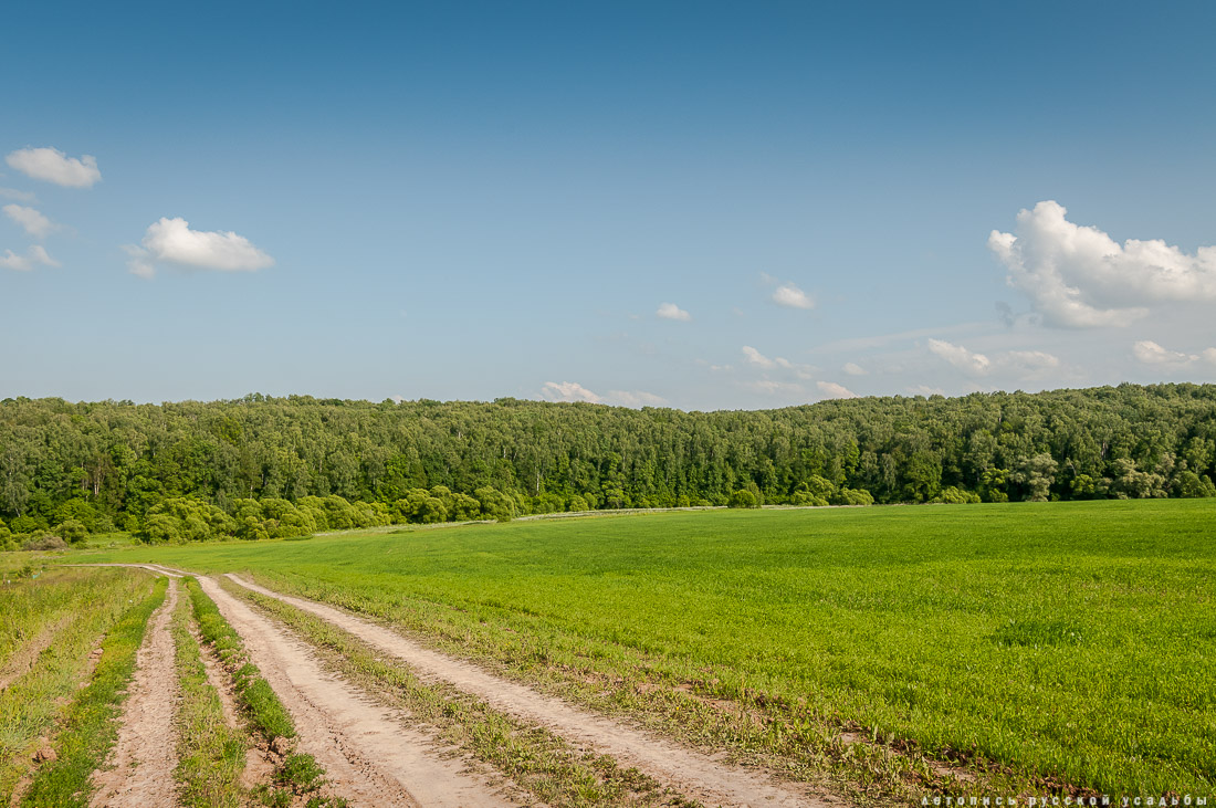 усадьба Чиркино