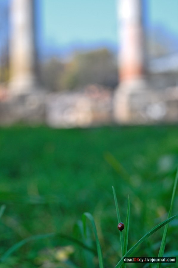 усадьба Красково