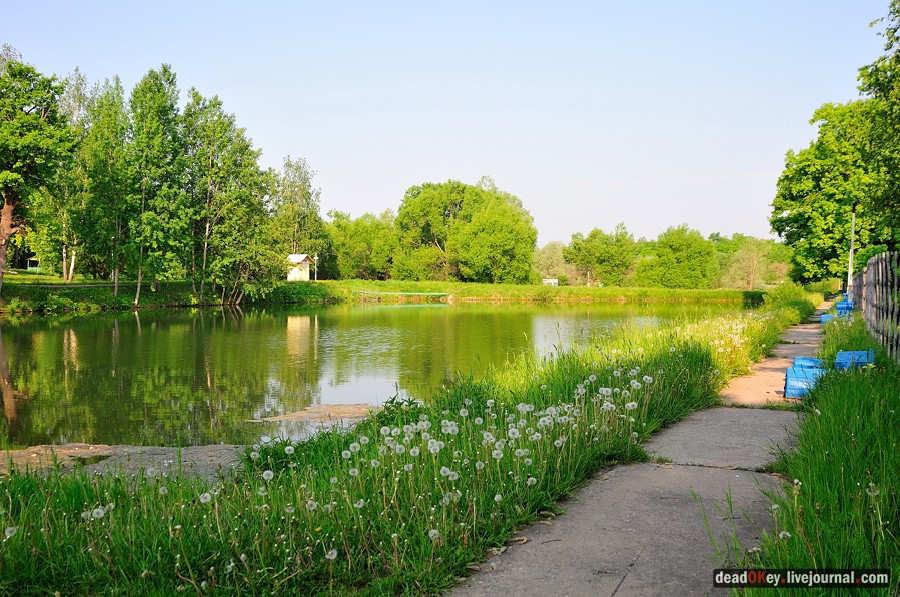 усадьба Богословское-Могильцы