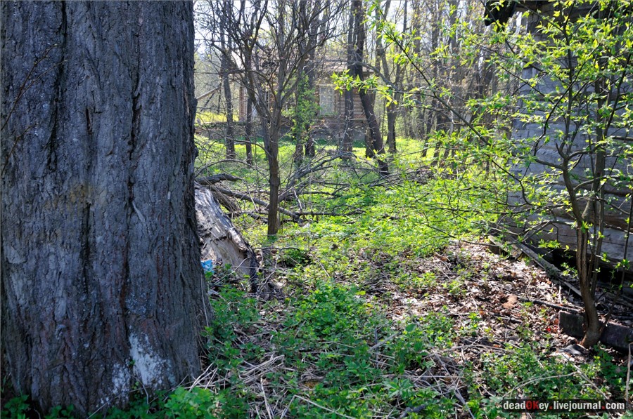 усадьба Андреевское-Туркино (Перематкино)