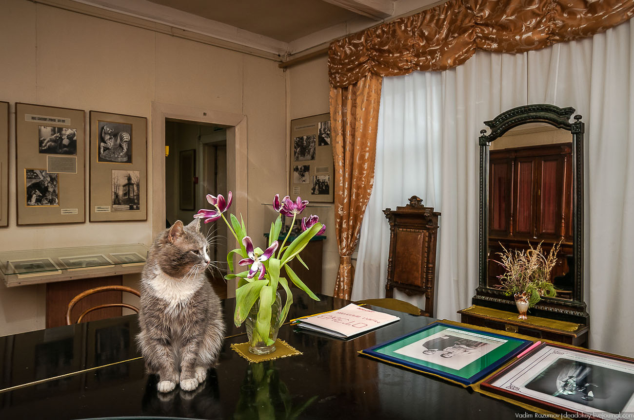 Усадебный экспресс. Тверь. Тверской императорский дворец, Домотканово.