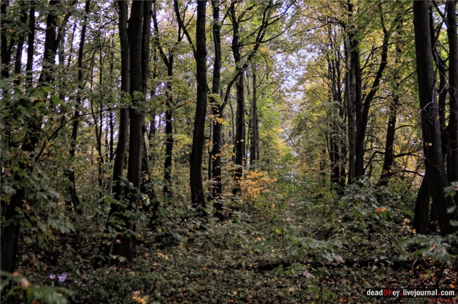 усадьба Ляхово