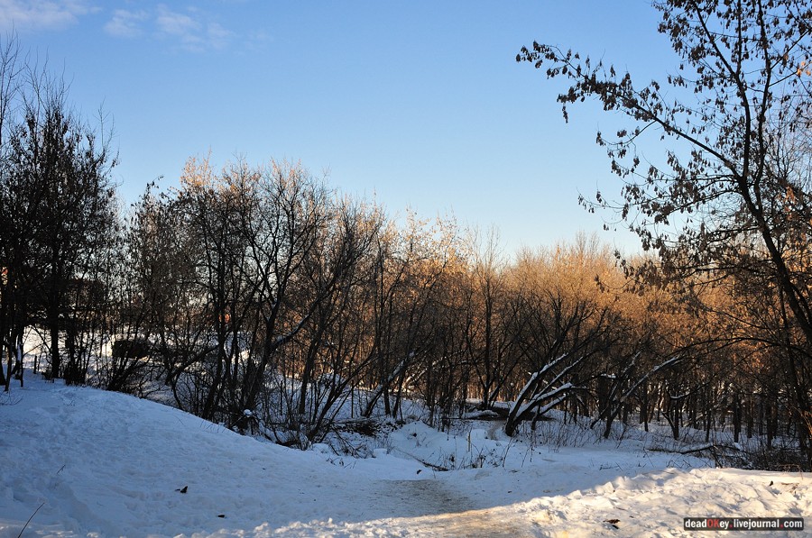 усадьба Петровское-Лобаново