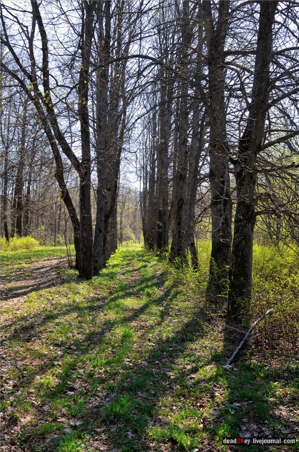 усадьба Андреевское-Туркино (Перематкино)