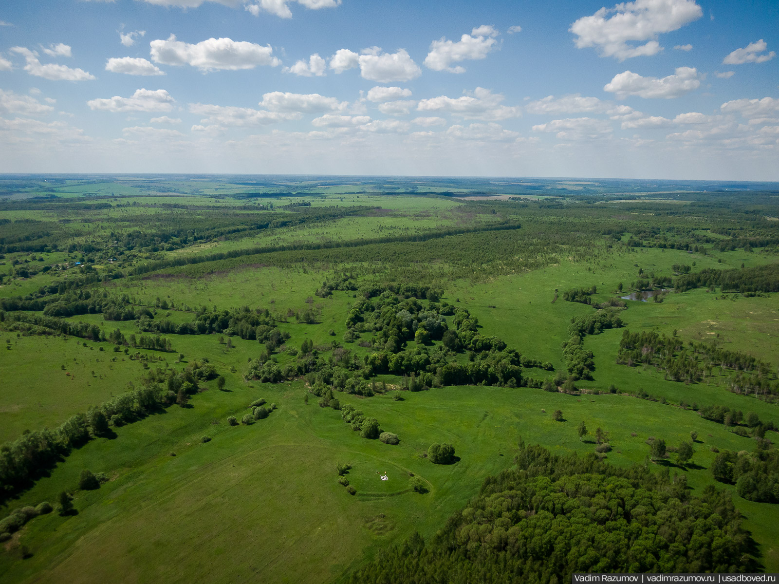 Старое Глазово, могила Василия Баженова, 2021 год