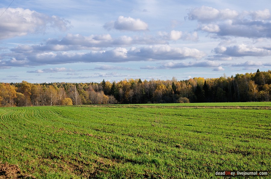 усадьба Дубровка (Мансурово)
