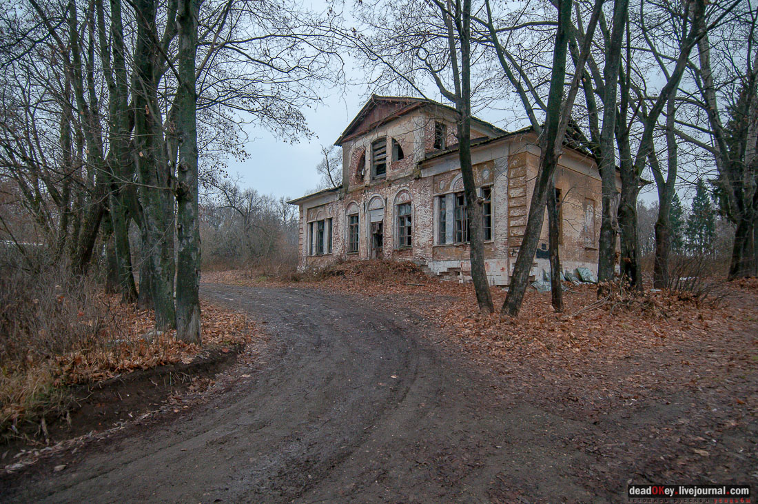 Усадьба Ляхово, съемки на НТВ-Сегодня