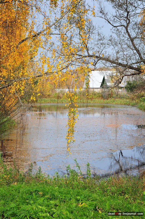 усадьба Яковлево