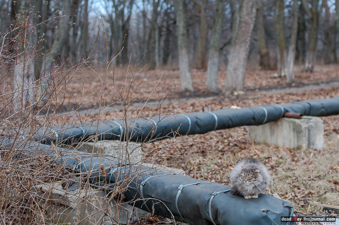 усадьба Мещерское