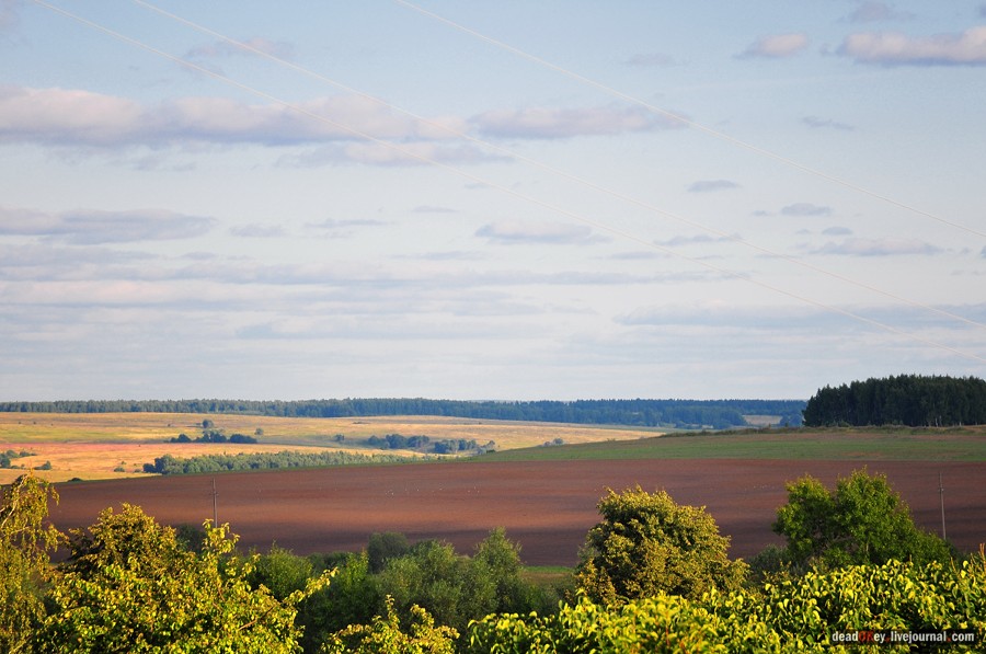 усадьба Смоленское