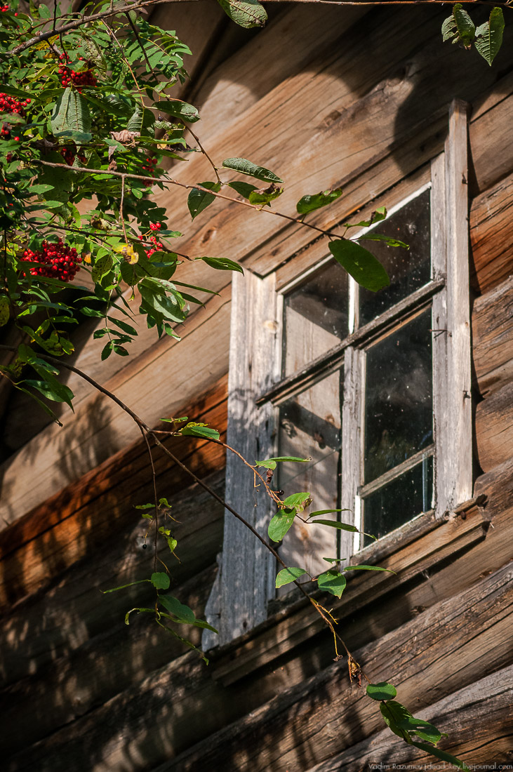 дер. Кучепалда, Архангельская обл.