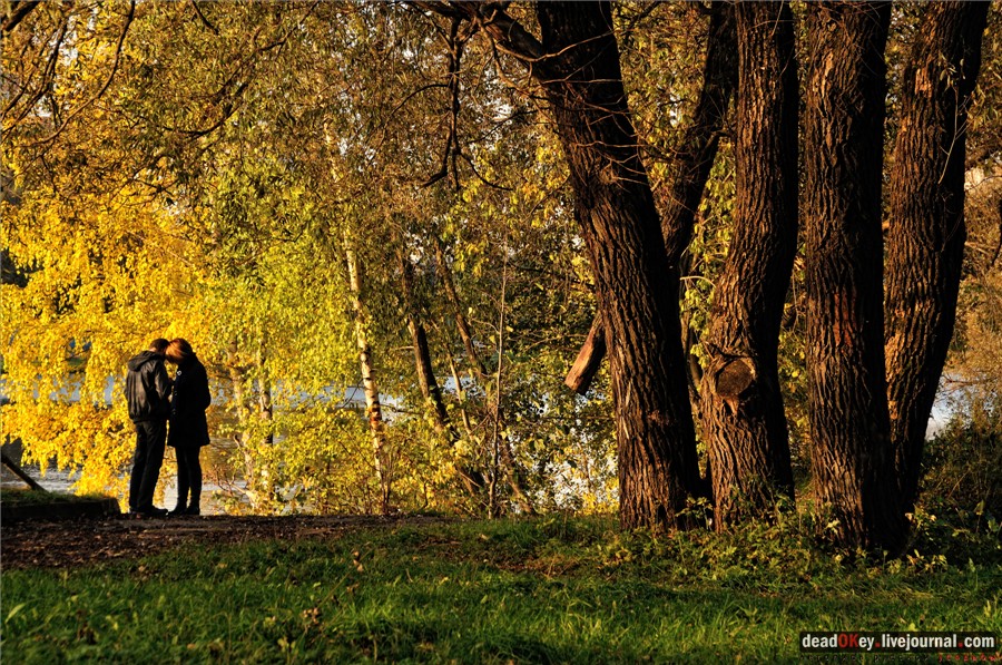 усадьба Петровское-Разумовское