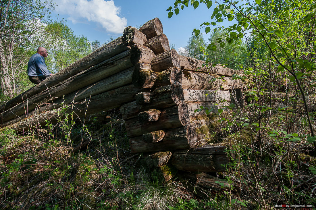 заброшенная деревня Сяпчозеро, Карелия, Кондопожский район
