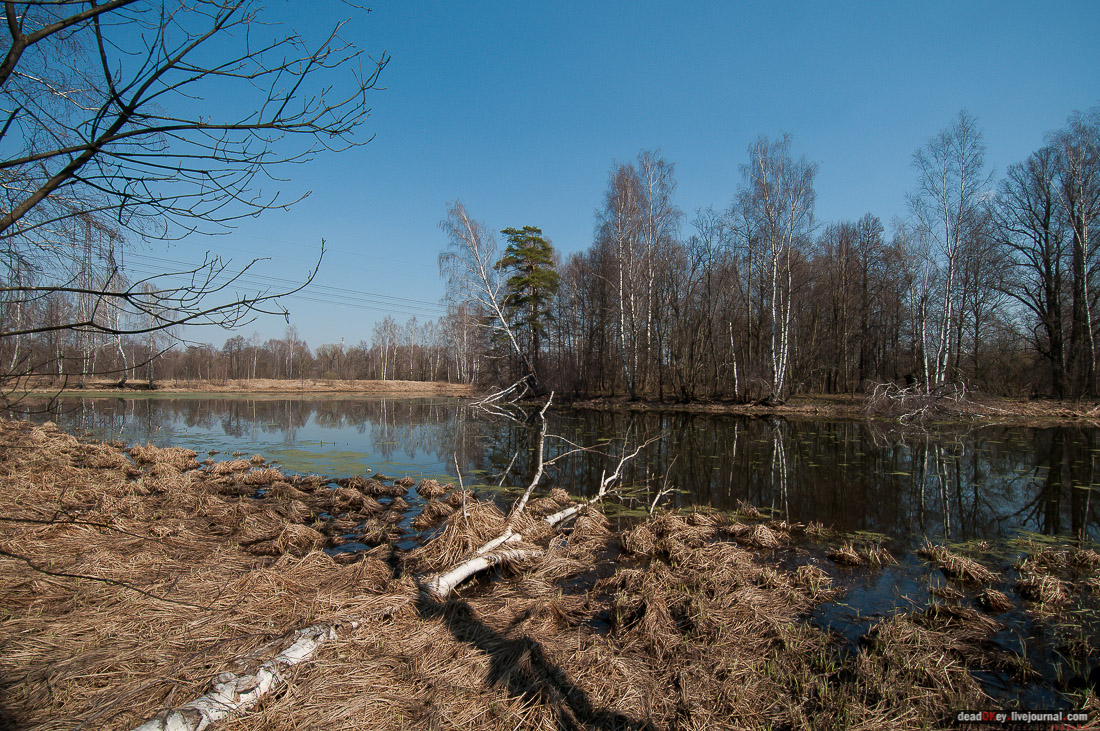 усадьба Савинское (исследование масонского парка)