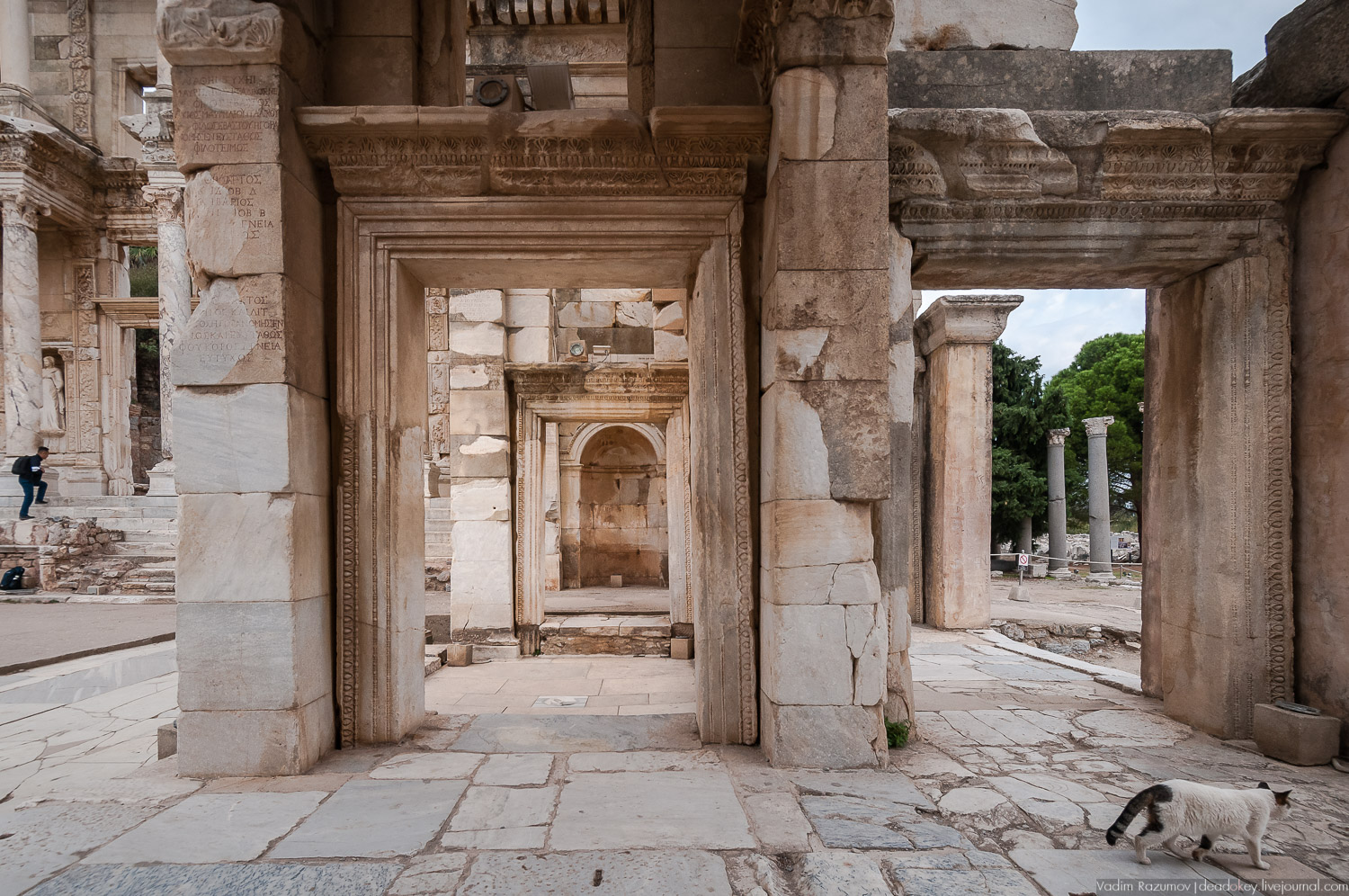 Эфес, библиотека, античные руины, Турция