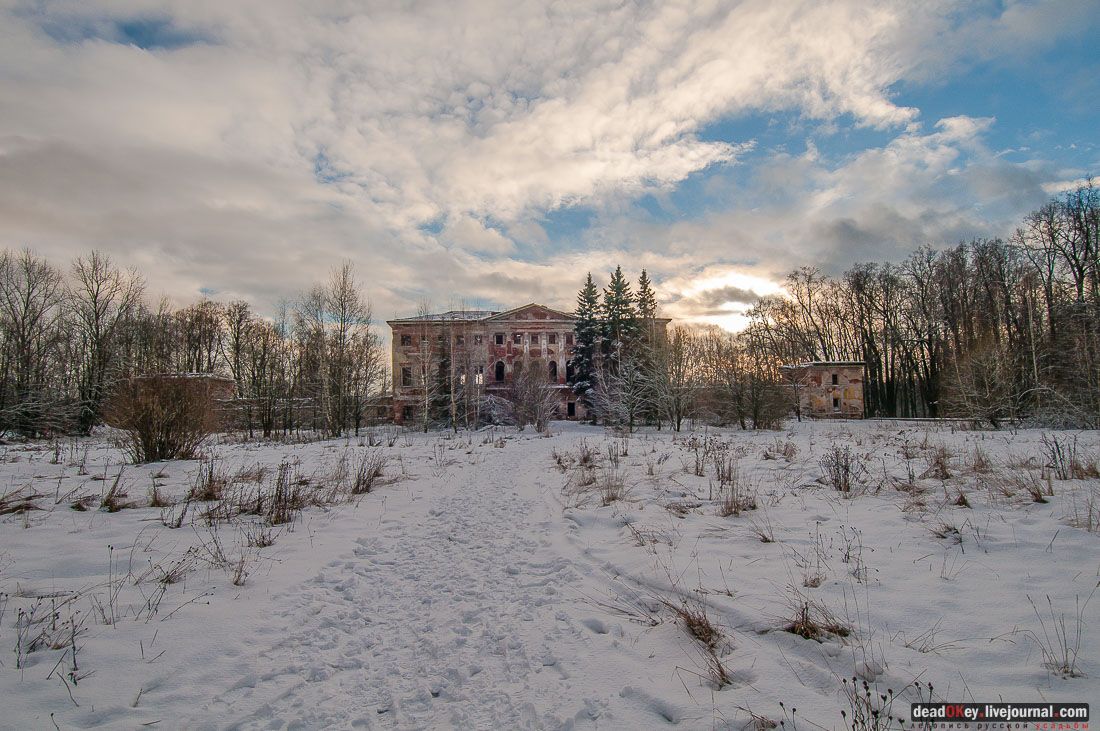 усадьба Гребнево, аукцион, съемки для телеканала Москва-24