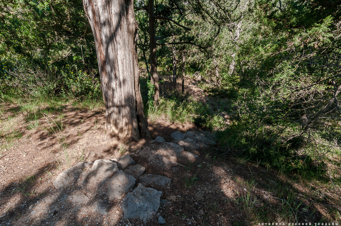 Харакс, Крым, санаторий Днепр