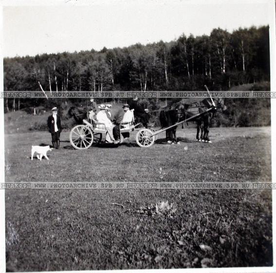 усадьба Городня