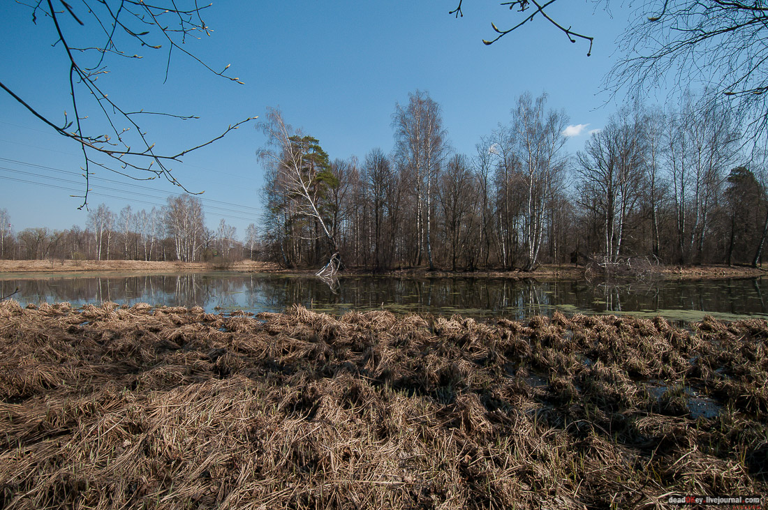 усадьба Савинское (исследование масонского парка)