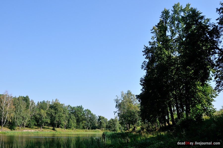усадьба Шишкино