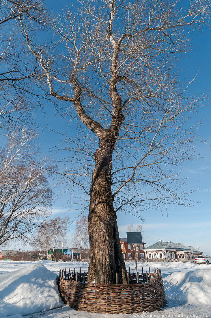 усадьба Константиново
