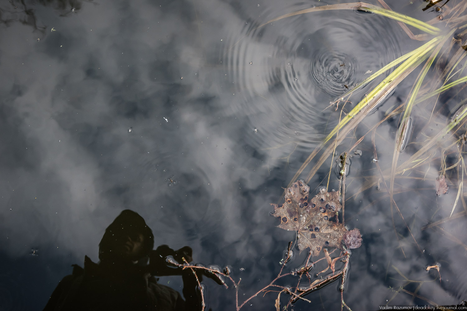 усадьба Домотканово, весна 2018 год