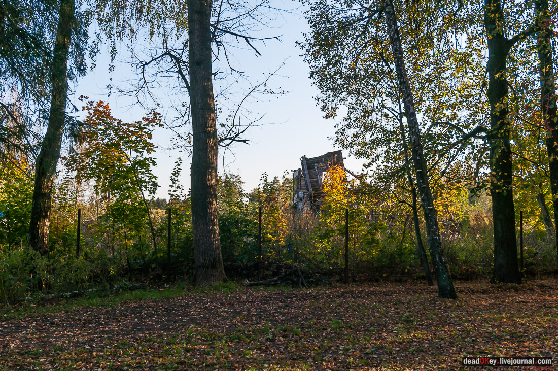 усадьба Бергов