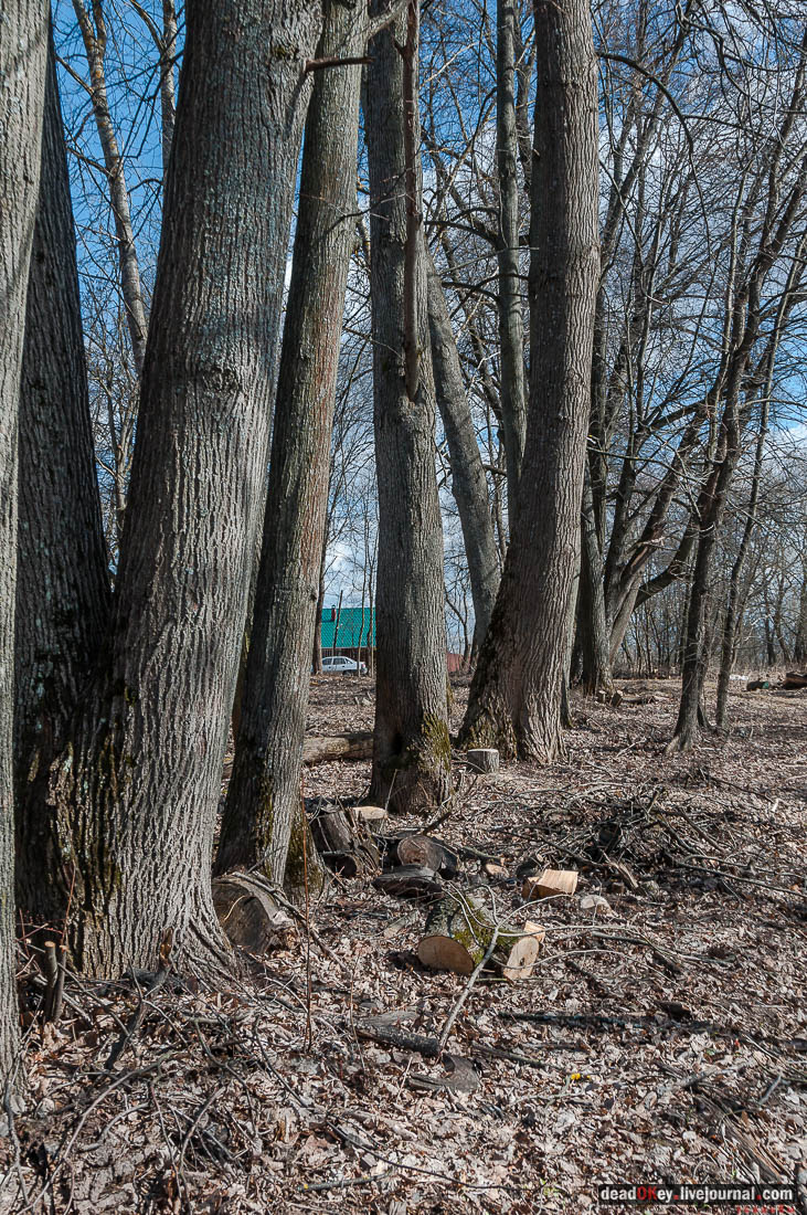 усадьба Васино