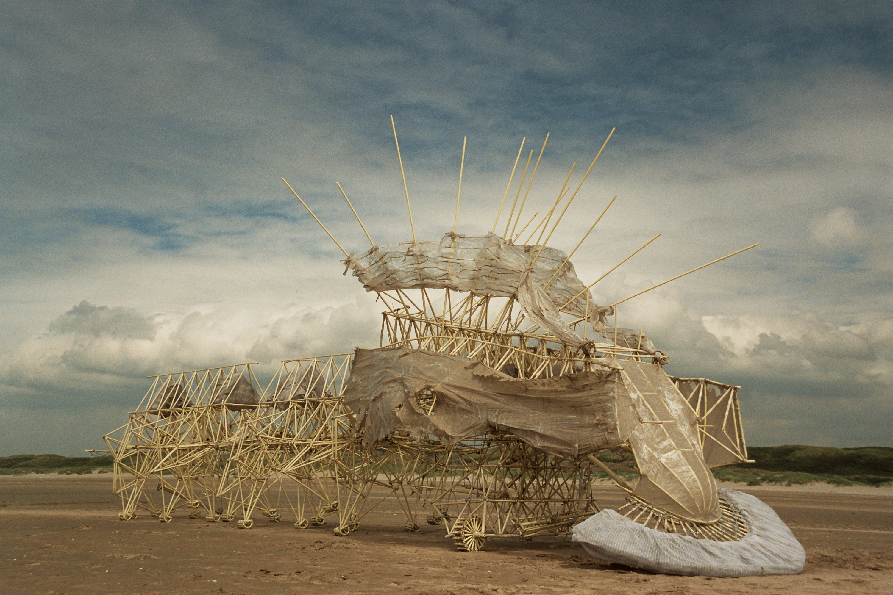 http://www.artfutura.org/img/imgs_05/zip/Theo%20Jansen%20-%20Animaris%20Percipiere%20-%201.jpg